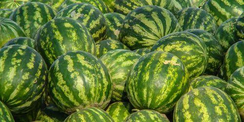 娱乐吃瓜酱新疆